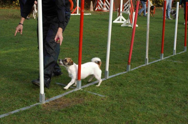 agility 2011-10-30